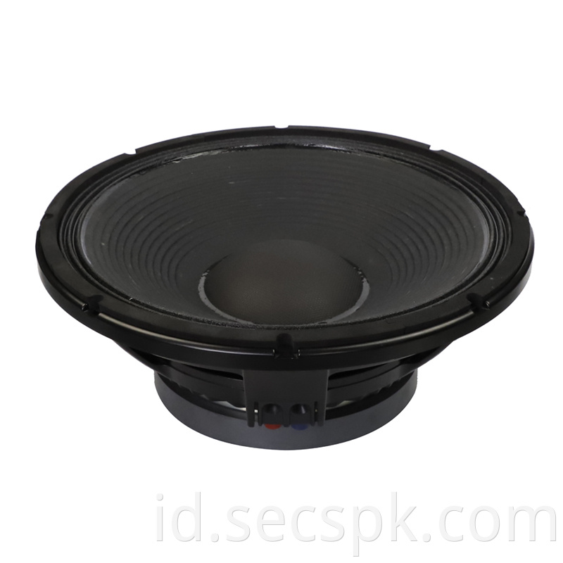 High Power Concert Speaker